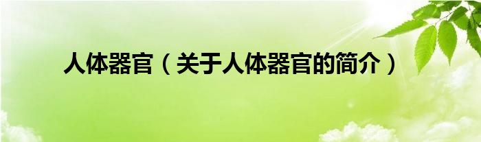 人體器官（關(guān)于人體器官的簡(jiǎn)介）