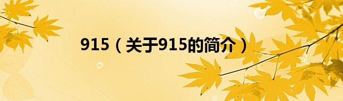 915（關(guān)于915的簡(jiǎn)介）