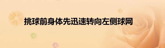 挑球前身體先迅速轉(zhuǎn)向左側(cè)球網(wǎng)