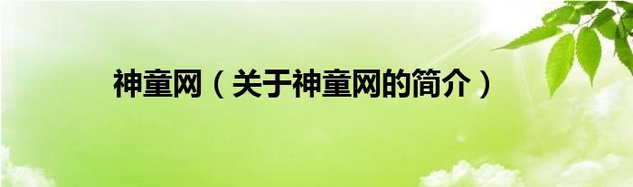 神童網(wǎng)（關(guān)于神童網(wǎng)的簡介）