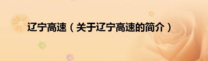 遼寧高速（關(guān)于遼寧高速的簡介）