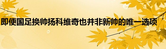 即便國足換帥揚(yáng)科維奇也并非新帥的唯一選項