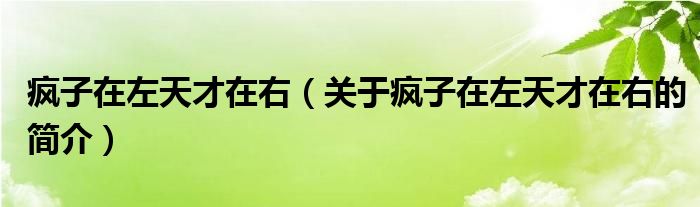 瘋子在左天才在右（關于瘋子在左天才在右的簡介）