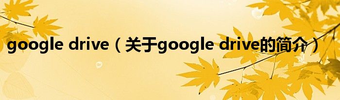 google drive（關(guān)于google drive的簡介）