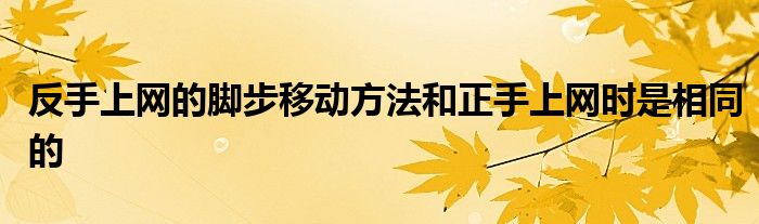 反手上網(wǎng)的腳步移動方法和正手上網(wǎng)時是相同的