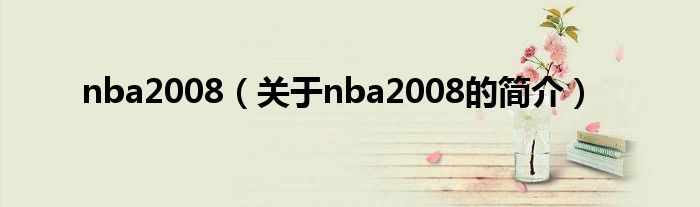 nba2008（關于nba2008的簡介）