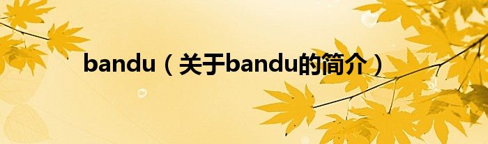 bandu（關(guān)于bandu的簡(jiǎn)介）