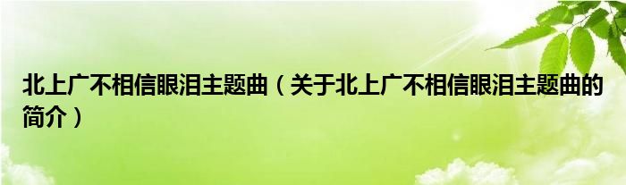 北上廣不相信眼淚主題曲（關于北上廣不相信眼淚主題曲的簡介）