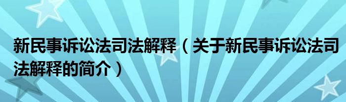 新民事訴訟法司法解釋（關(guān)于新民事訴訟法司法解釋的簡介）