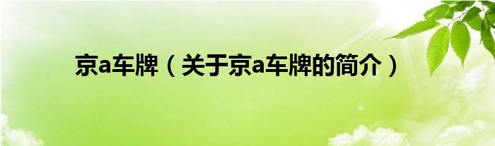 京a車(chē)牌（關(guān)于京a車(chē)牌的簡(jiǎn)介）