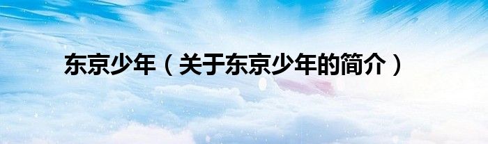 東京少年（關(guān)于東京少年的簡(jiǎn)介）