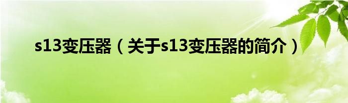 s13變壓器（關(guān)于s13變壓器的簡介）