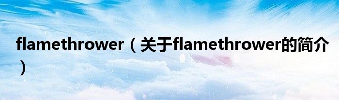 flamethrower（關(guān)于flamethrower的簡介）