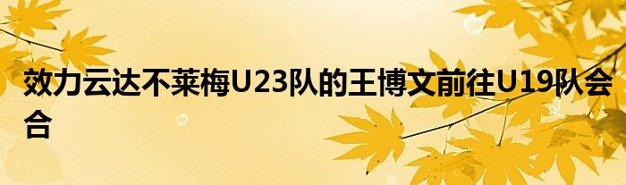 效力云達不萊梅U23隊的王博文前往U19隊會合