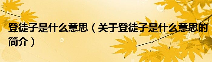 登徒子是什么意思（關(guān)于登徒子是什么意思的簡(jiǎn)介）