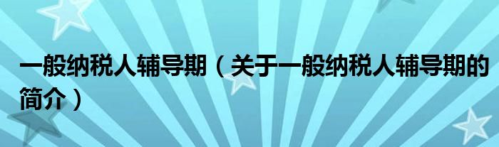 一般納稅人輔導(dǎo)期（關(guān)于一般納稅人輔導(dǎo)期的簡(jiǎn)介）