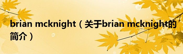 brian mcknight（關(guān)于brian mcknight的簡(jiǎn)介）