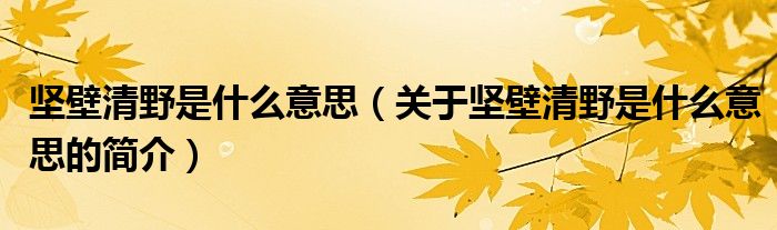 堅壁清野是什么意思（關(guān)于堅壁清野是什么意思的簡介）