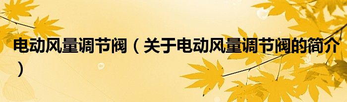 電動風(fēng)量調(diào)節(jié)閥（關(guān)于電動風(fēng)量調(diào)節(jié)閥的簡介）