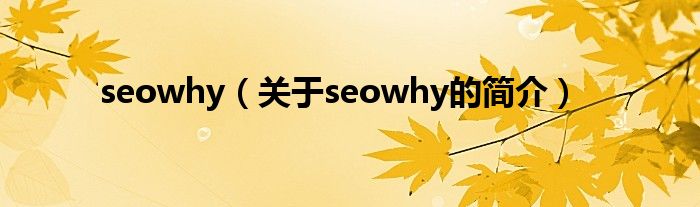 seowhy（關(guān)于seowhy的簡介）