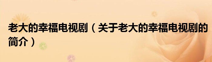 老大的幸福電視?。P(guān)于老大的幸福電視劇的簡(jiǎn)介）