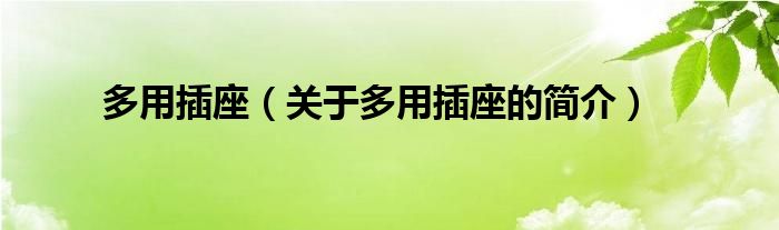 多用插座（關(guān)于多用插座的簡(jiǎn)介）