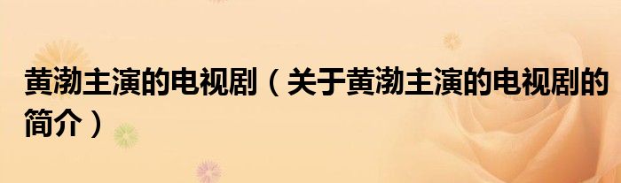 黃渤主演的電視?。P于黃渤主演的電視劇的簡介）