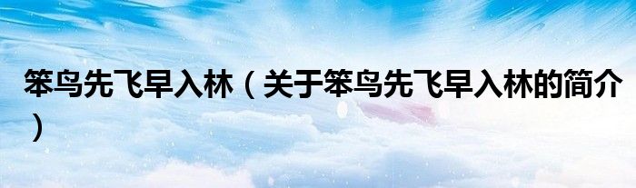 笨鳥先飛早入林（關于笨鳥先飛早入林的簡介）