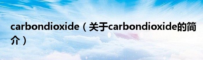 carbondioxide（關(guān)于carbondioxide的簡介）