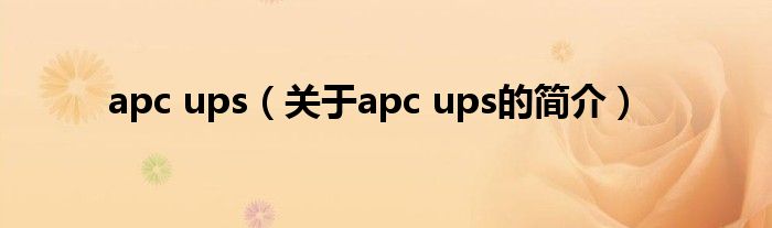 apc ups（關(guān)于apc ups的簡(jiǎn)介）