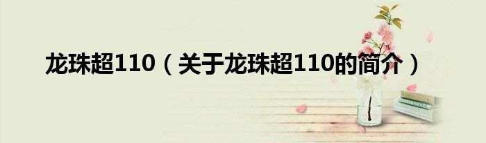 龍珠超110（關(guān)于龍珠超110的簡介）