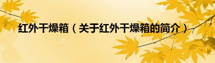 紅外干燥箱（關(guān)于紅外干燥箱的簡(jiǎn)介）