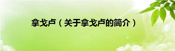 拿戈盧（關(guān)于拿戈盧的簡(jiǎn)介）