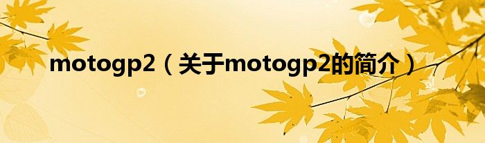 motogp2（關(guān)于motogp2的簡(jiǎn)介）