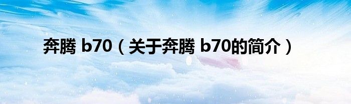 奔騰 b70（關于奔騰 b70的簡介）