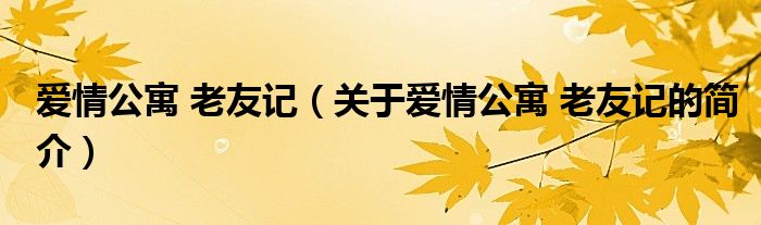 愛情公寓 老友記（關(guān)于愛情公寓 老友記的簡介）