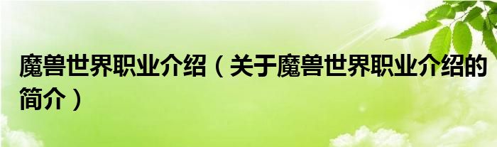 魔獸世界職業(yè)介紹（關于魔獸世界職業(yè)介紹的簡介）