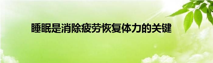 睡眠是消除疲勞恢復體力的關鍵