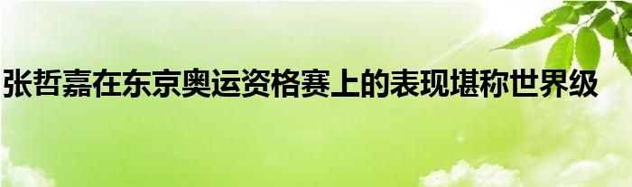 張哲嘉在東京奧運(yùn)資格賽上的表現(xiàn)堪稱(chēng)世界級(jí)