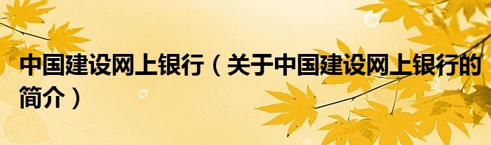 中國建設(shè)網(wǎng)上銀行（關(guān)于中國建設(shè)網(wǎng)上銀行的簡介）