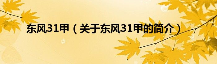 東風31甲（關于東風31甲的簡介）