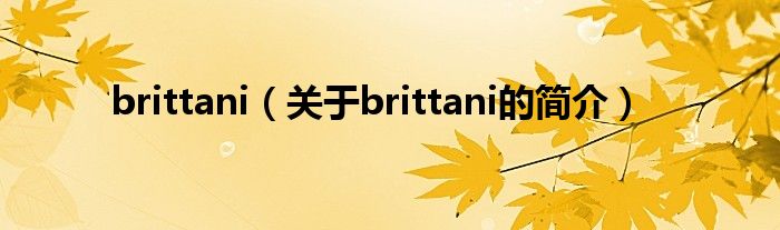 brittani（關(guān)于brittani的簡介）