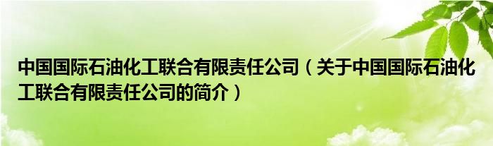 中國(guó)國(guó)際石油化工聯(lián)合有限責(zé)任公司（關(guān)于中國(guó)國(guó)際石油化工聯(lián)合有限責(zé)任公司的簡(jiǎn)介）