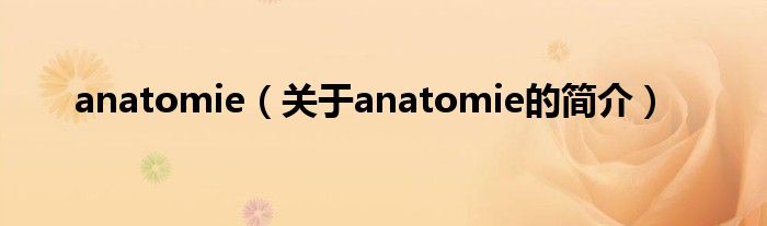 anatomie（關(guān)于anatomie的簡介）