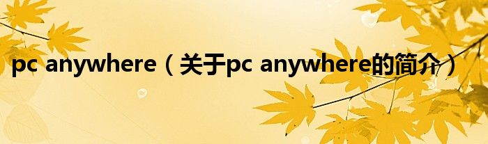 pc anywhere（關(guān)于pc anywhere的簡介）