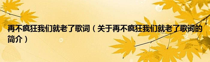 再不瘋狂我們就老了歌詞（關(guān)于再不瘋狂我們就老了歌詞的簡(jiǎn)介）