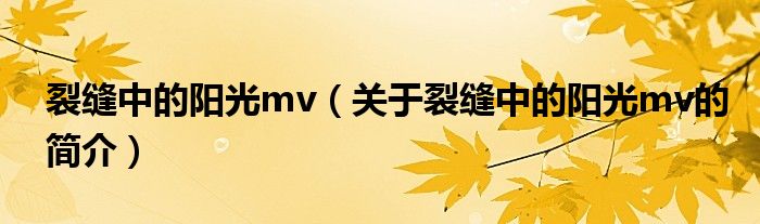 裂縫中的陽光mv（關(guān)于裂縫中的陽光mv的簡介）