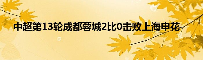 中超第13輪成都蓉城2比0擊敗上海申花