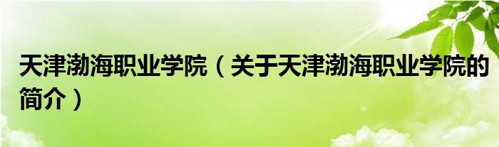 天津渤海職業(yè)學院（關于天津渤海職業(yè)學院的簡介）