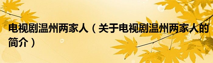 電視劇溫州兩家人（關(guān)于電視劇溫州兩家人的簡(jiǎn)介）